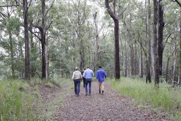 Mark Webber walking through Curramore Wildlife Sanctuary
