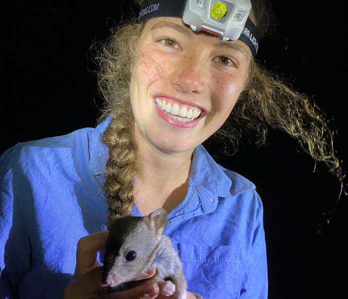 AWC intern Samantha Mulvena holding a Burrowing Bettong during spotlighting at Scotia Wildlife Sanctuary in NSW. 