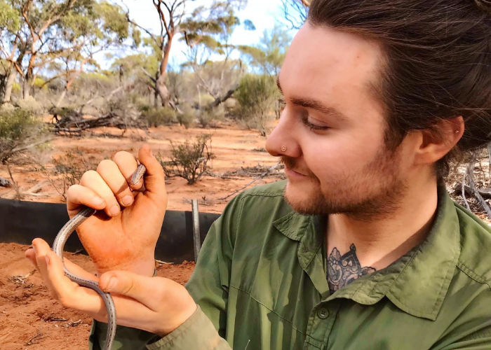 Former intern Joshua Hungerford came across a Burton’s Legless Lizard during an eco-health survey.