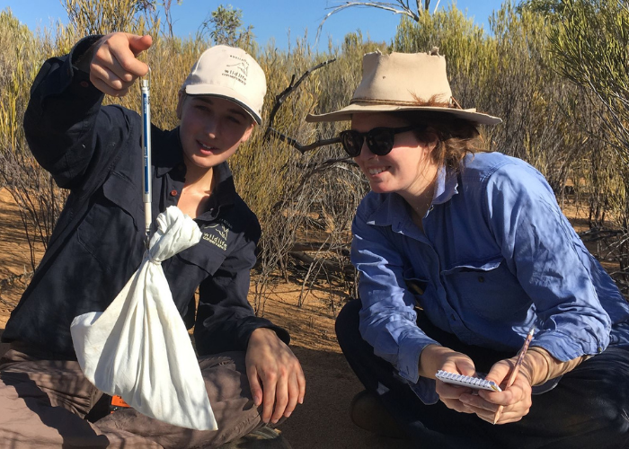 Phoebe with Wildlife Ecologist Georgia Volck weighing a Numbat before removing its collar at Mt Gibson Wildlife Sanctuary.