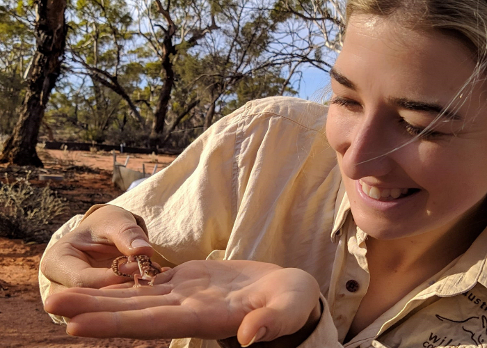 Luck find! Phoebe Dickins discovers a Western Beaked Gecko during a 2019 Omnibus Survey.