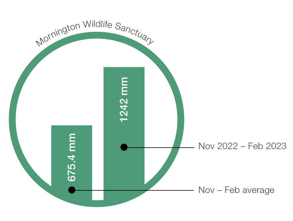 Mornington Wildlife Sanctuary Rainfall Graph