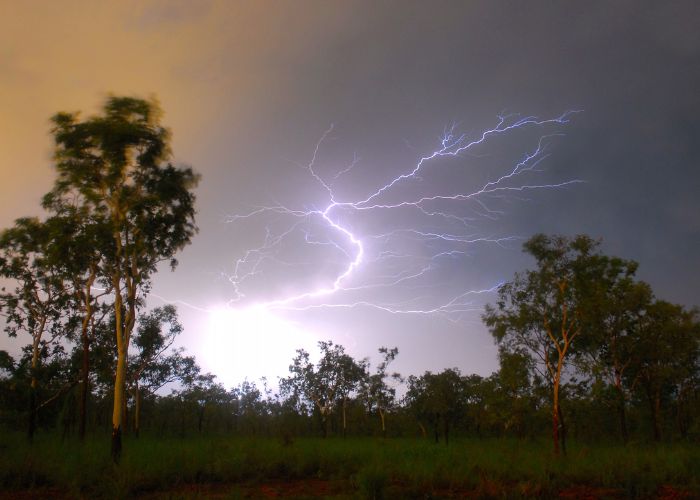 Unplanned fires occur in natural environments such as grassland, forest and scrubland, and can be triggered by natural events such as lightening. 