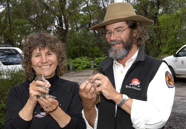 In 2008, Jack Baker and Jean Clarke relocated 50 Eastern Bristlebirds in 50 days to Sydney Catchment Authority Cataract Special Area as part of the Recovery Plan for the species. The population has bred and persisted.