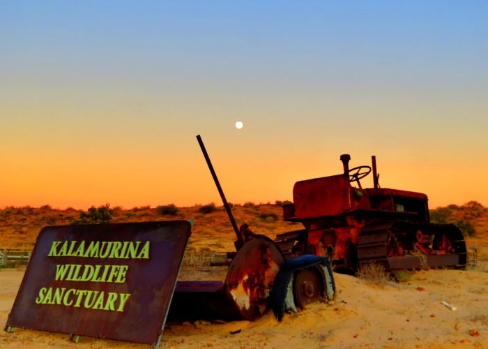 Desert moon sunset at Kalamurina Wildlife Sanctuary