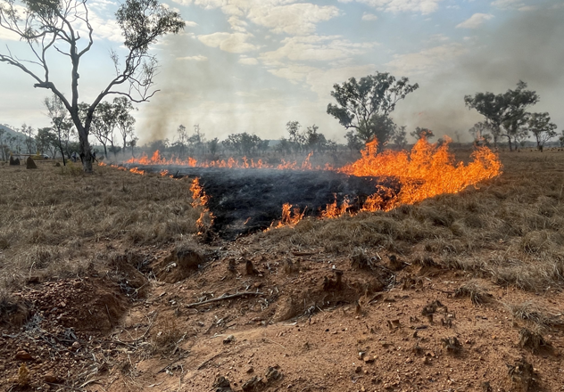 The team undertook this reactive backburn minutes before the fire front would have squeezed between two early dry season, controlled burn scars. Quick gap stitching missions via helicopter are an effective method when these scars hold the rest of the wildfire front at bay.
