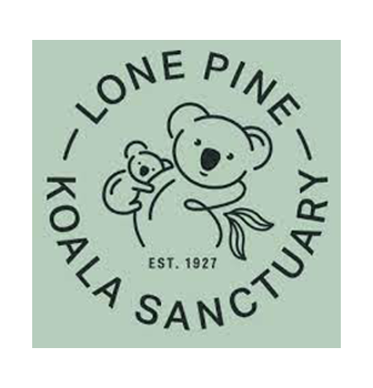 Lone Pine Koala Logo