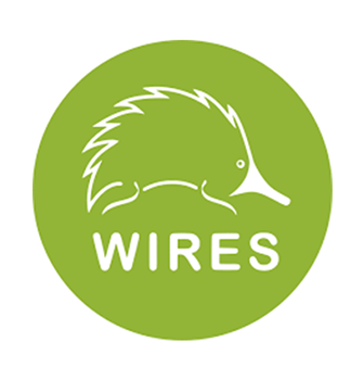 Wires Logo Square