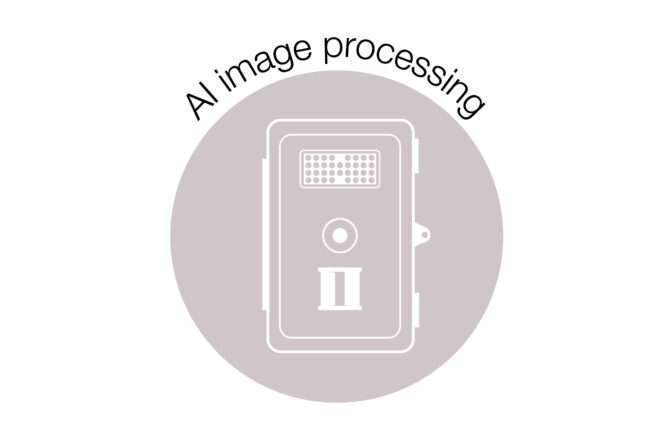 AI image processing