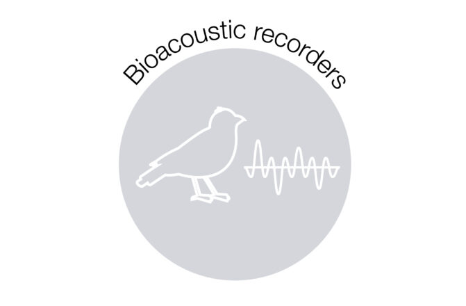 Bioacoustic recorders