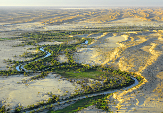 An aerial view of the varied riparian habitats of the Warburton River, with Lignum and Coolabah.